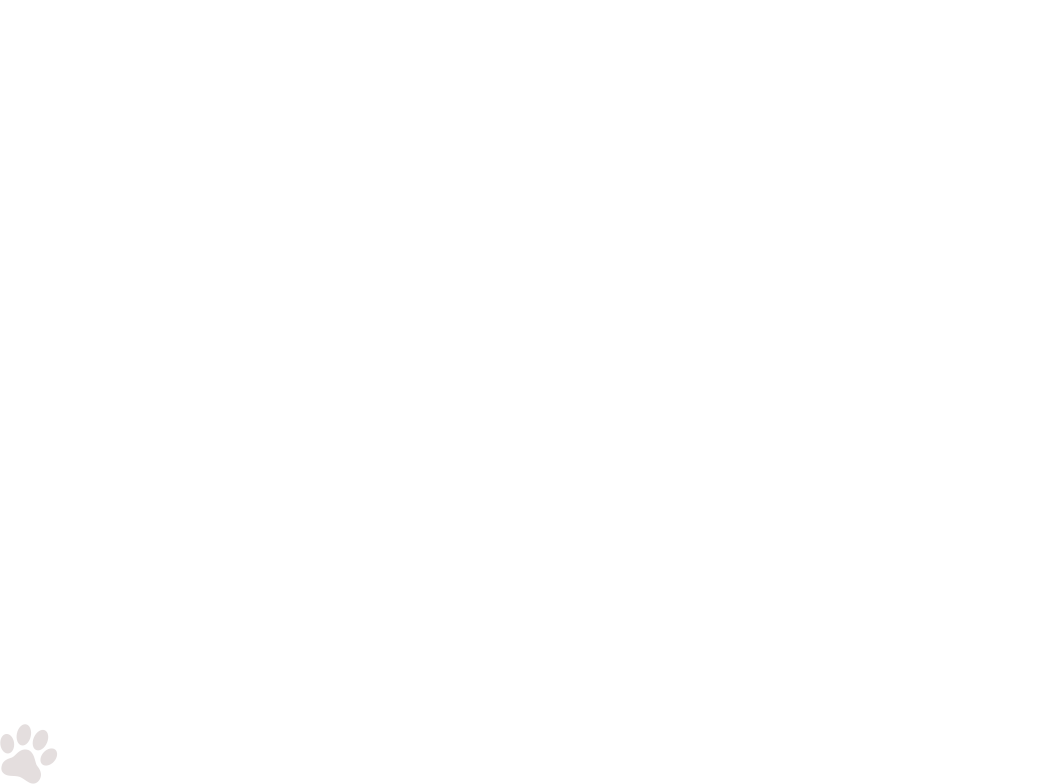 home-5_slider-1_01.png