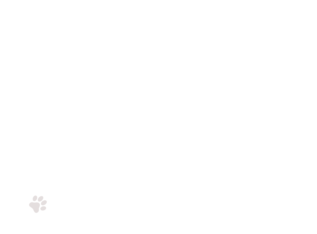 home-5_slider-1_02.png
