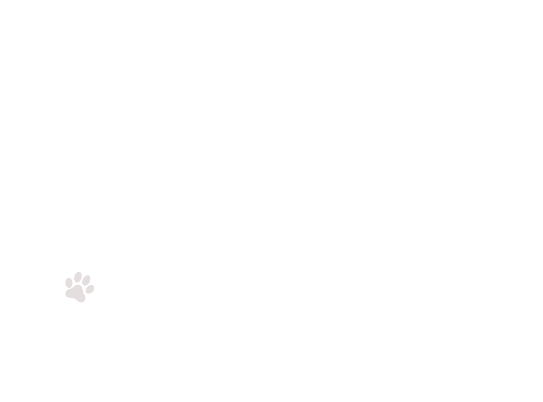 home-5_slider-1_03.png