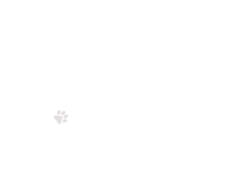 home-5_slider-1_04.png
