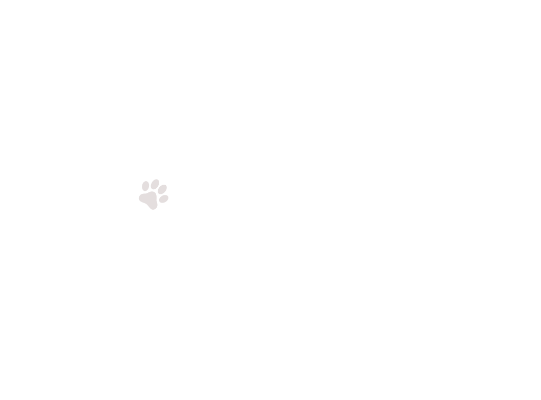 home-5_slider-1_05.png
