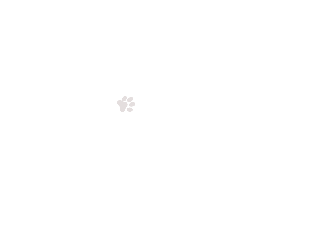 home-5_slider-1_06.png