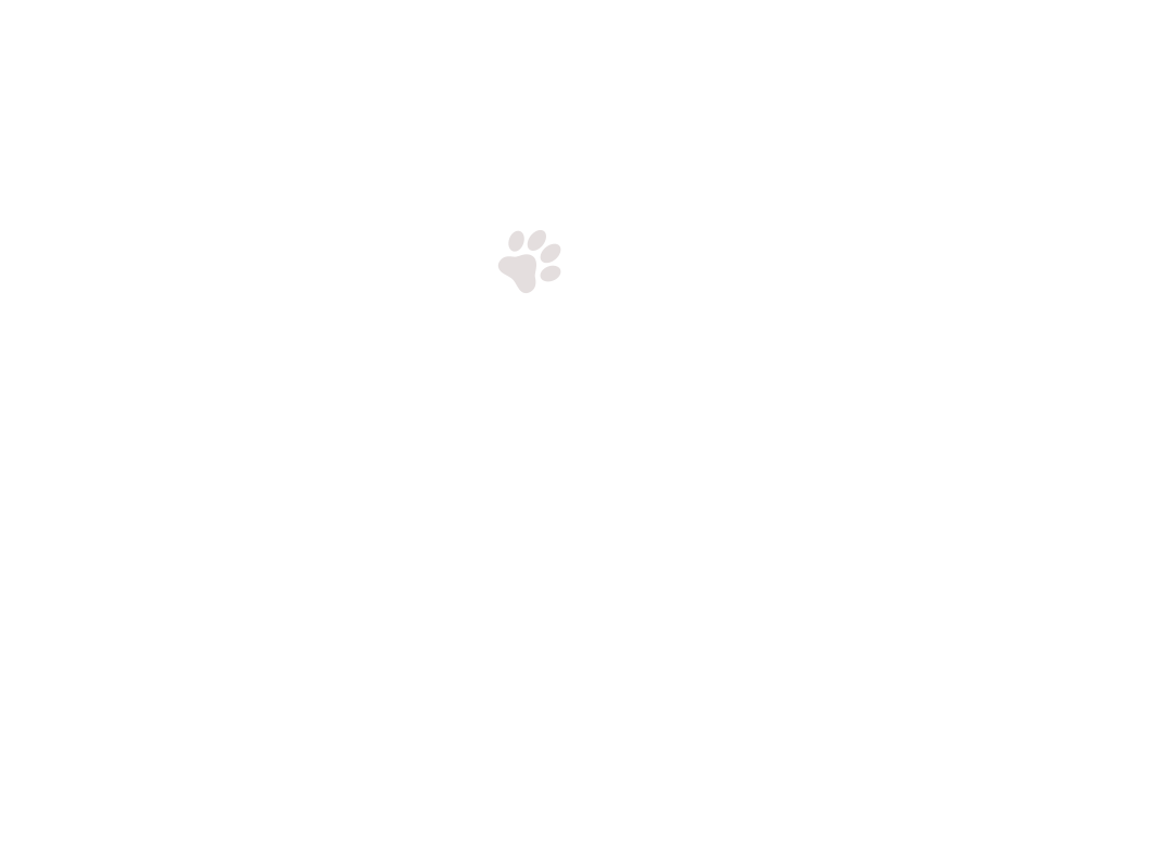 home-5_slider-1_07.png