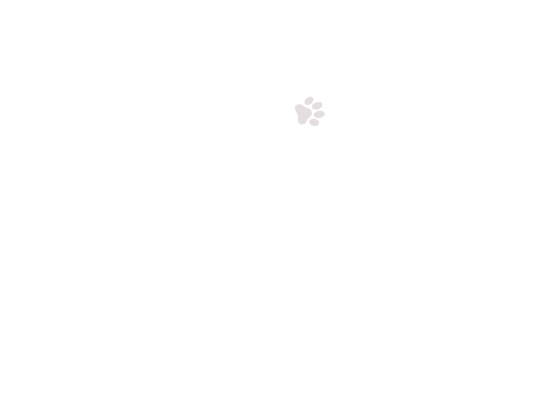 home-5_slider-1_08.png