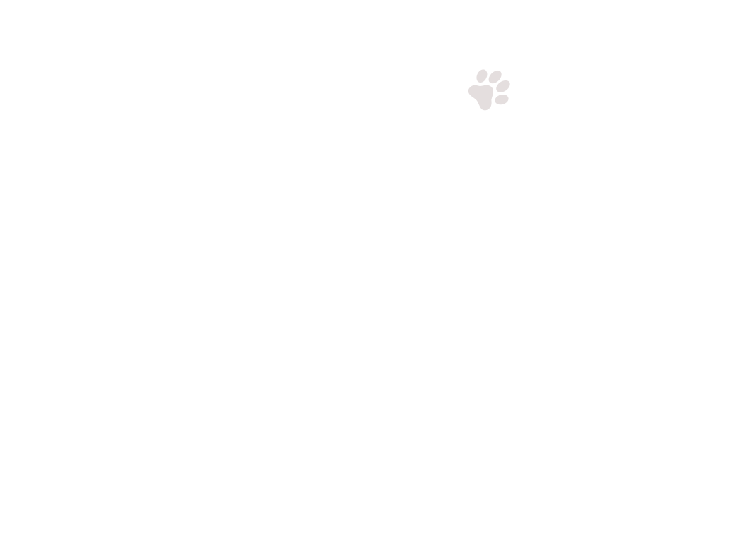 home-5_slider-1_09.png