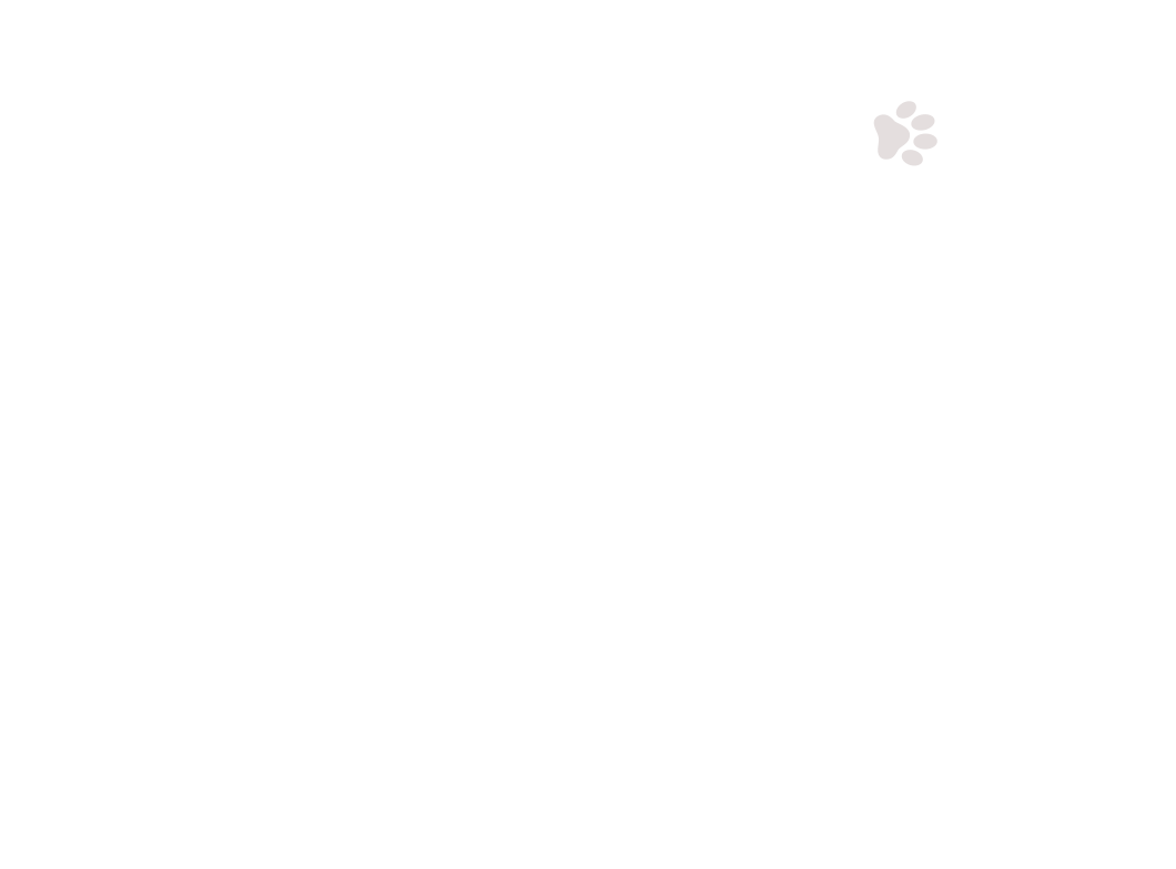 home-5_slider-1_10.png