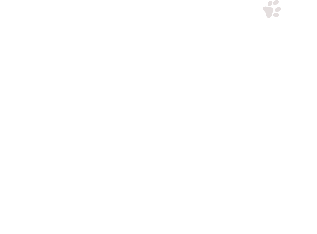 home-5_slider-1_11.png