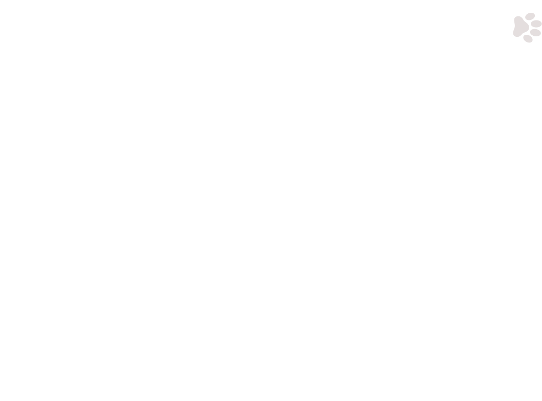 home-5_slider-1_12.png