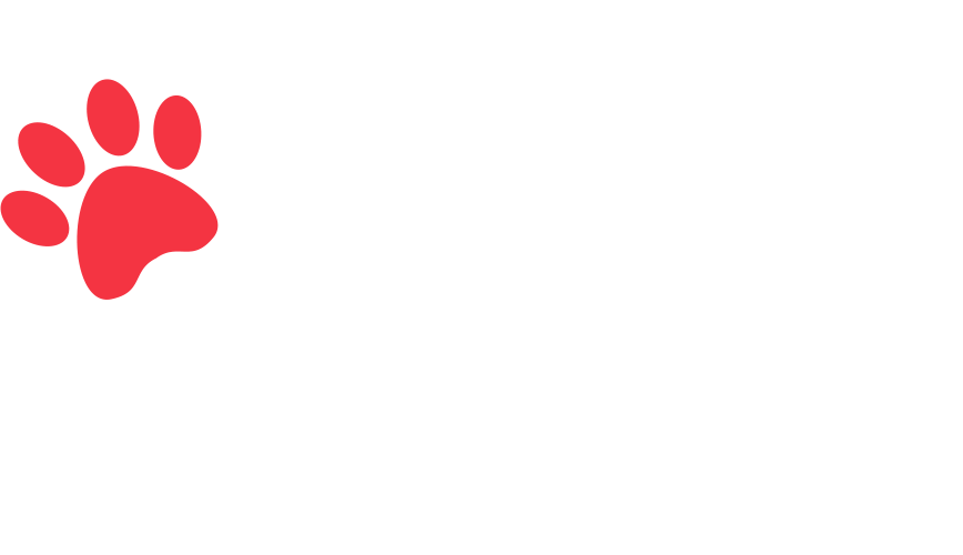 home-5_slider-5_01.png