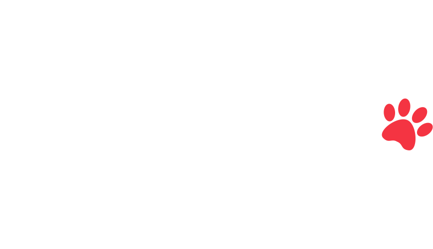 home-5_slider-5_02.png