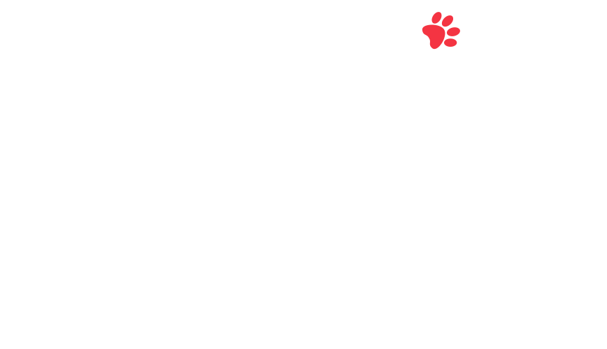home-5_slider-5_03.png