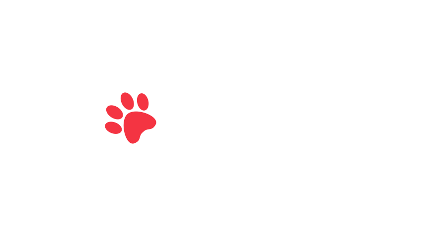 home-5_slider-5_04.png