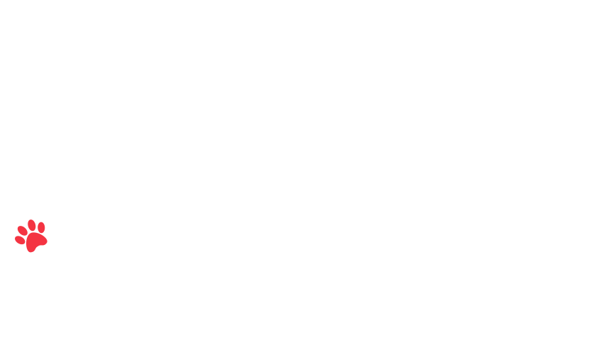 home-5_slider-5_05.png