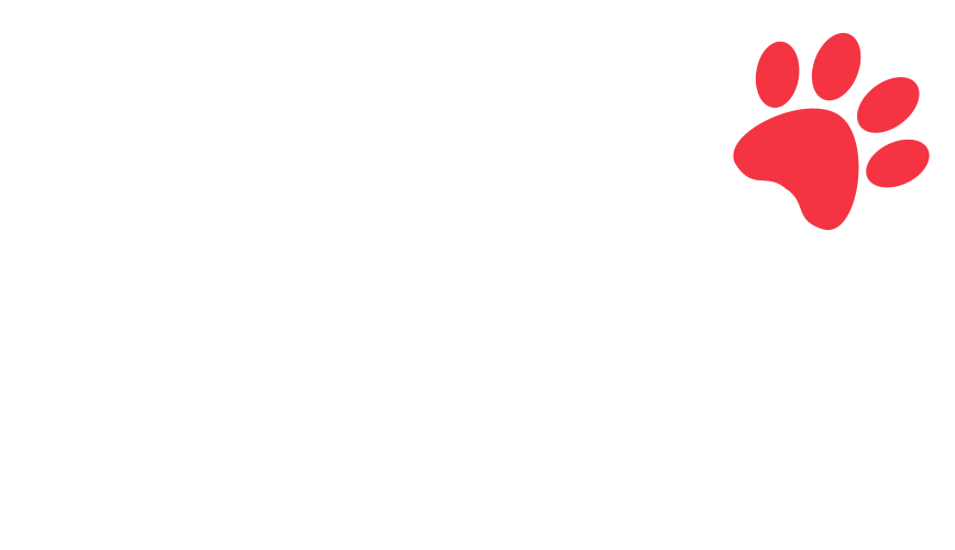 home-5_slider-5_06.png