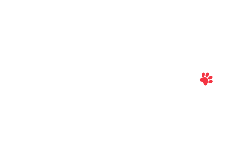 home-5_slider-5_07.png