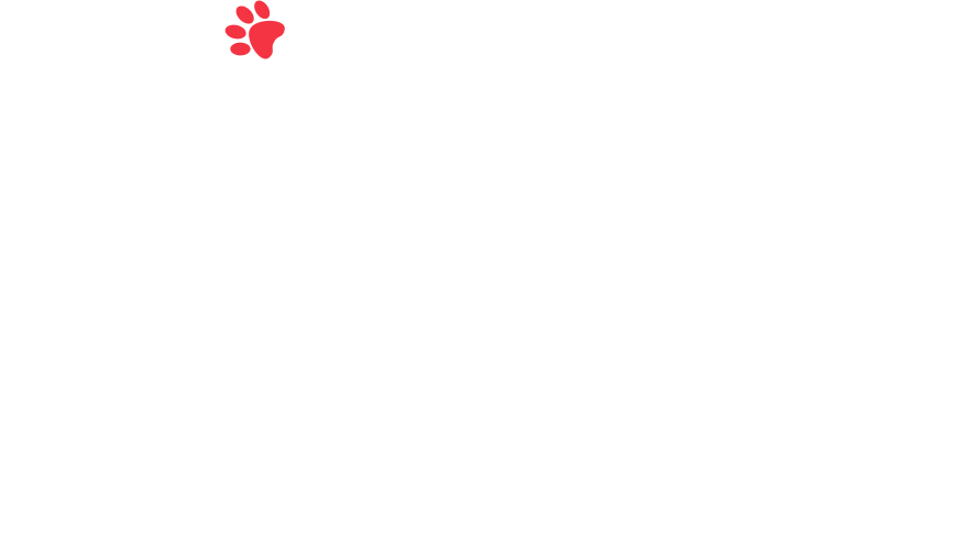 home-5_slider-5_09.png