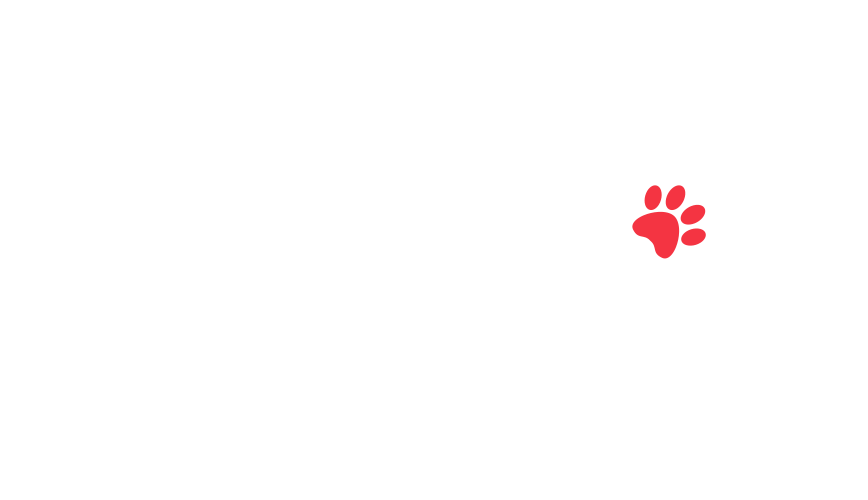 home-5_slider-5_10.png