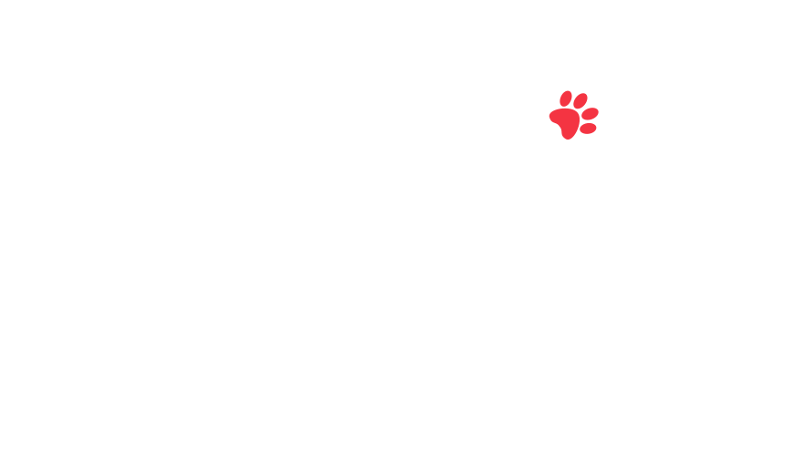 home-5_slider-5_11.png