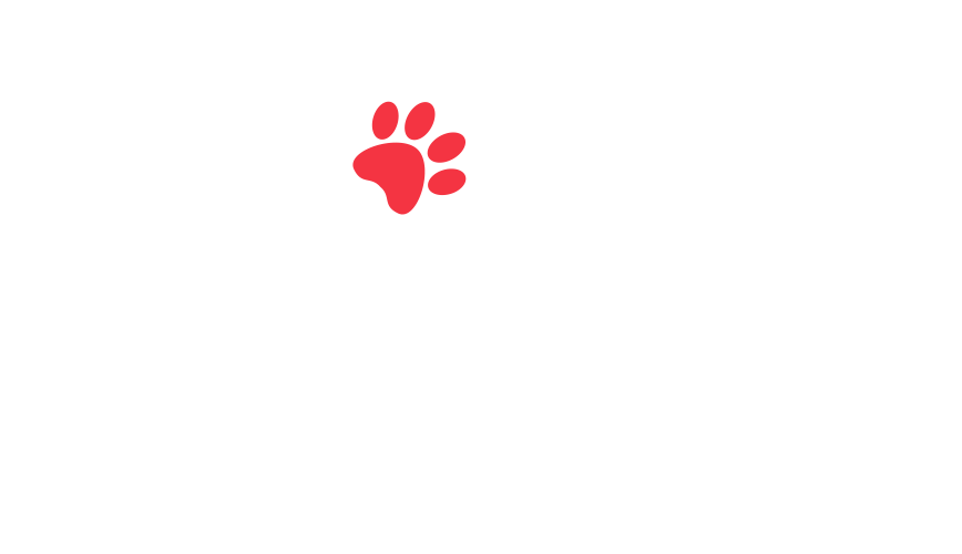 home-5_slider-5_12.png