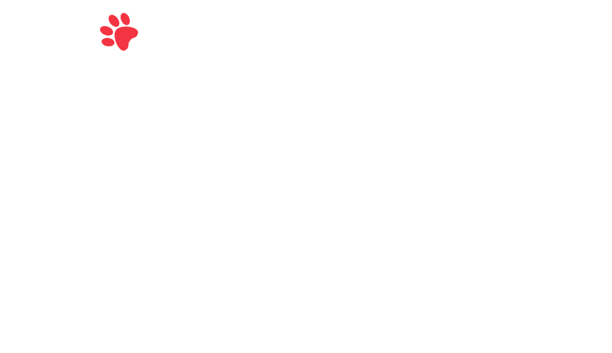 home-5_slider-5_13.png