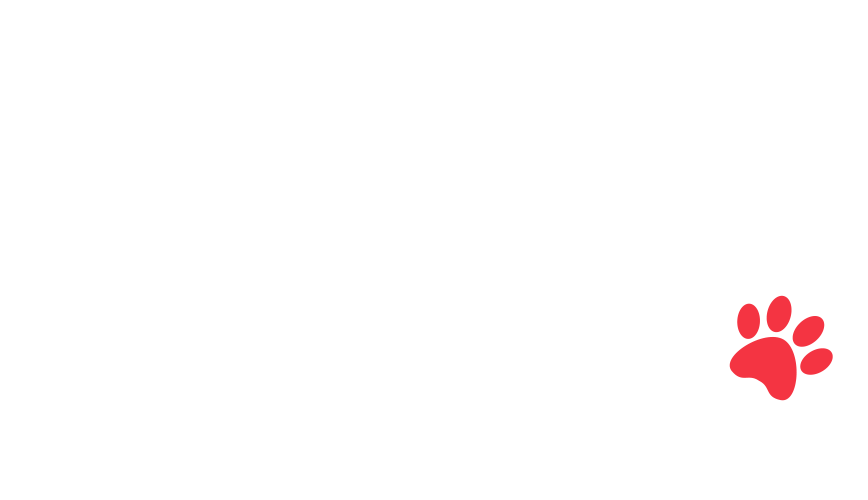 home-5_slider-5_14.png