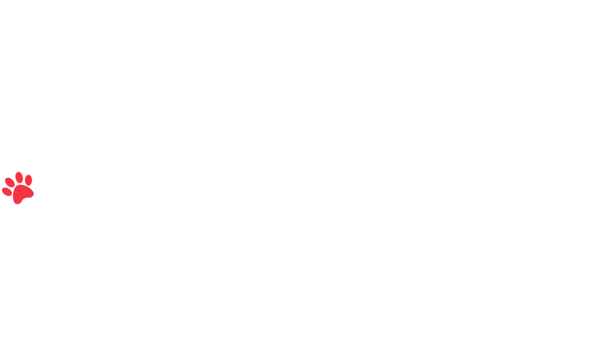 home-5_slider-5_15.png