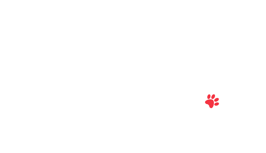 home-5_slider-5_16.png