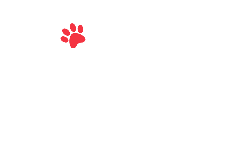 home-5_slider-5_17.png
