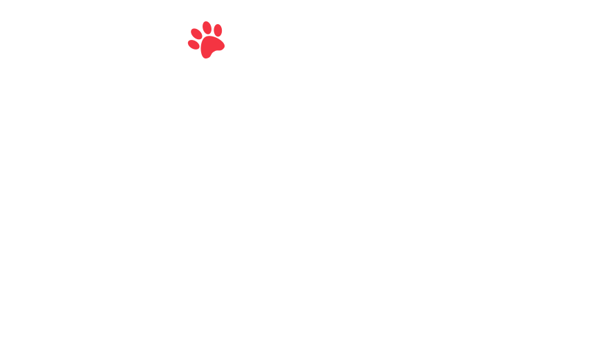 home-5_slider-5_19.png