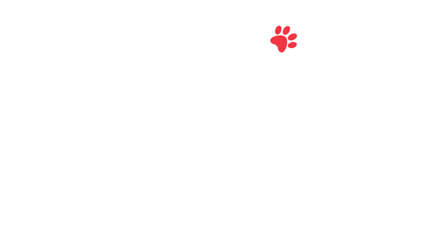 home-5_slider-5_20.png