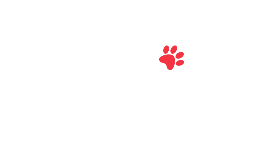 home-5_slider-5_21.png