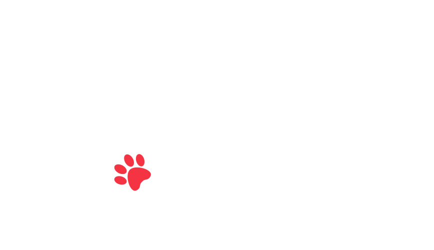 home-5_slider-5_22.png