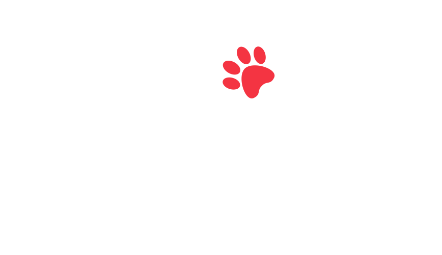 home-5_slider-5_23.png