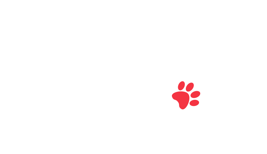 home-5_slider-5_24.png