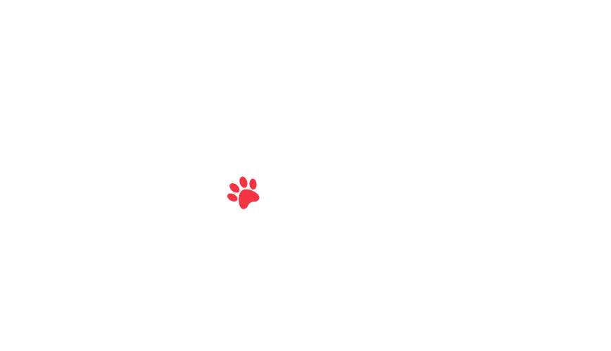 home-5_slider-5_25.png