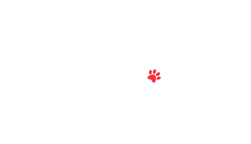 home-5_slider-5_26.png