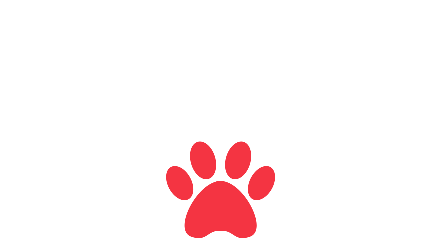 home-5_slider-5_28.png
