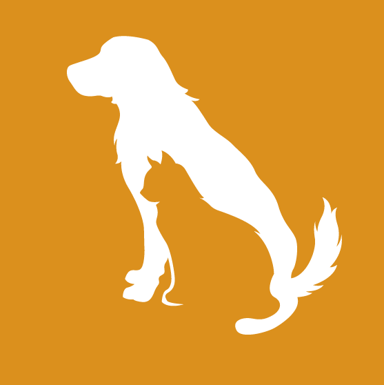logotype